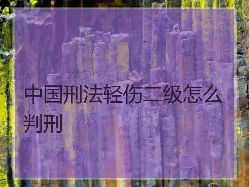 中国刑法轻伤二级怎么判刑