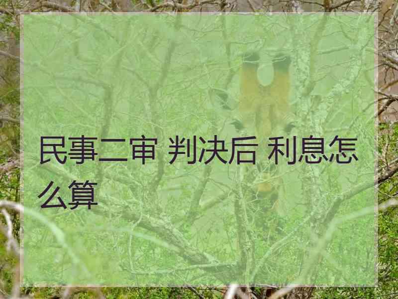 民事二审 判决后 利息怎么算