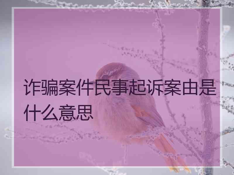 诈骗案件民事起诉案由是什么意思