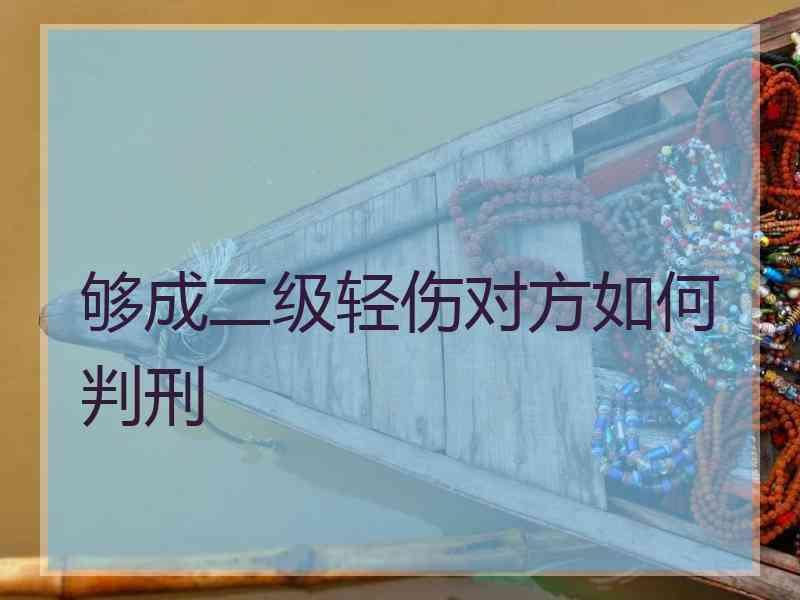 够成二级轻伤对方如何判刑