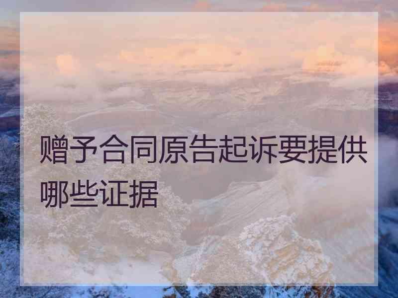 赠予合同原告起诉要提供哪些证据