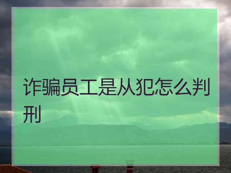 诈骗员工是从犯怎么判刑