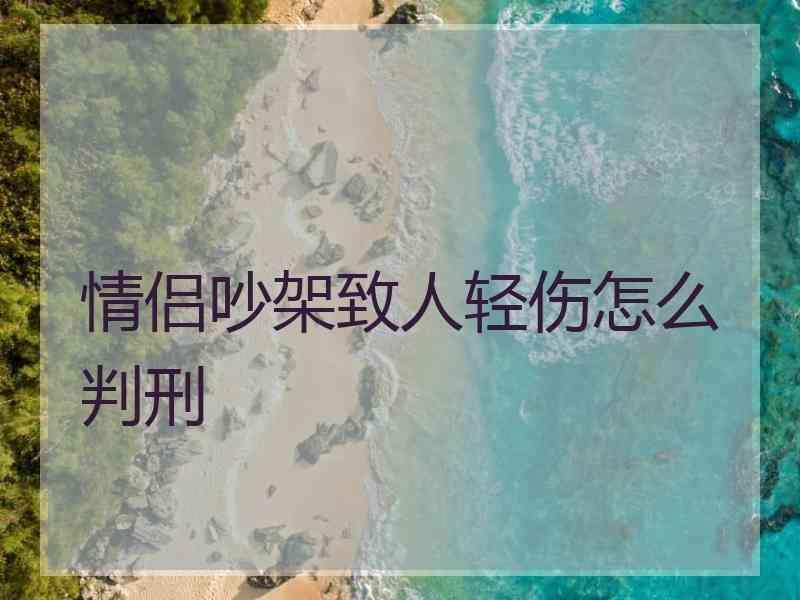 情侣吵架致人轻伤怎么判刑