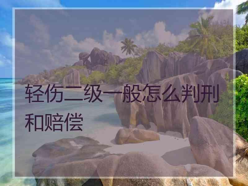 轻伤二级一般怎么判刑和赔偿