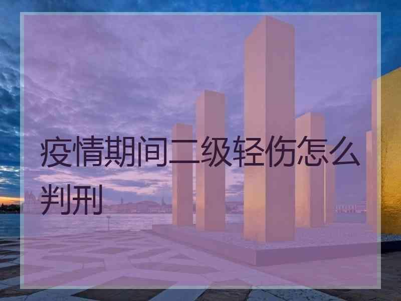 疫情期间二级轻伤怎么判刑