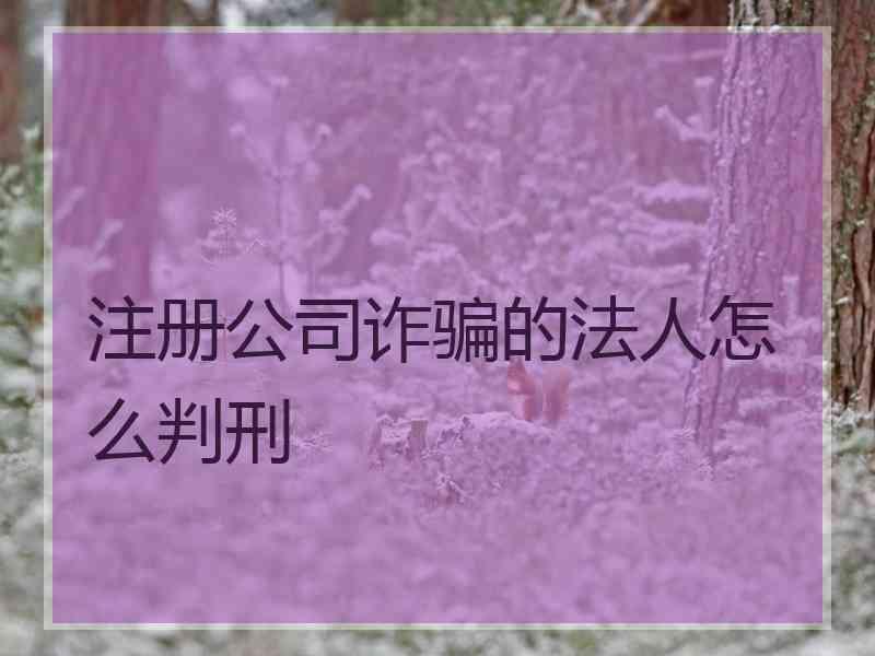 注册公司诈骗的法人怎么判刑