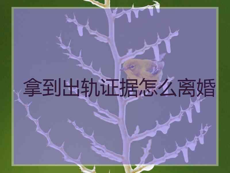 拿到出轨证据怎么离婚