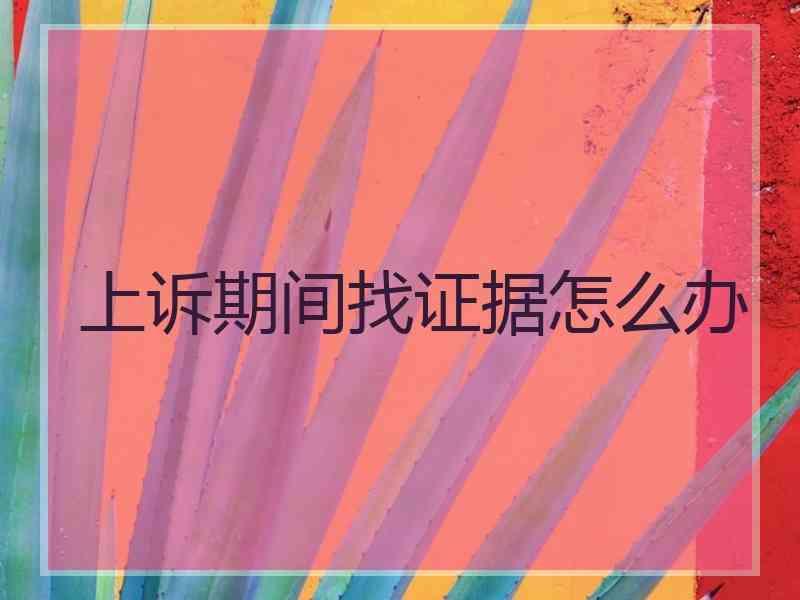 上诉期间找证据怎么办