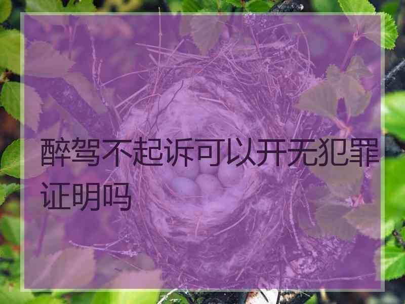 醉驾不起诉可以开无犯罪证明吗