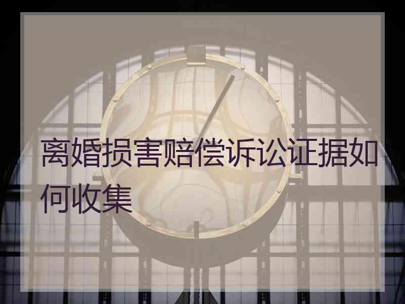离婚损害赔偿诉讼证据如何收集