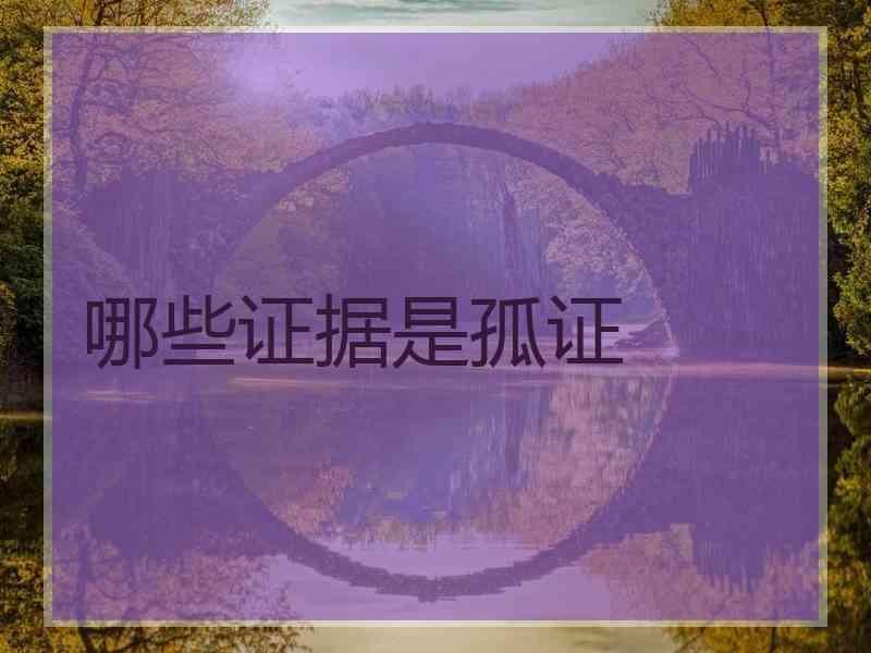 哪些证据是孤证