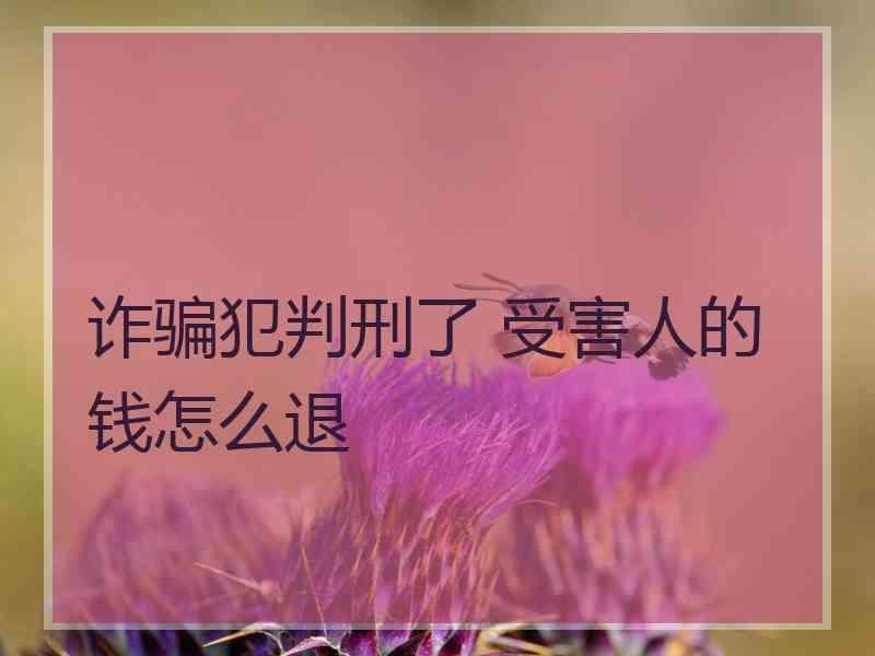 诈骗犯判刑了 受害人的钱怎么退