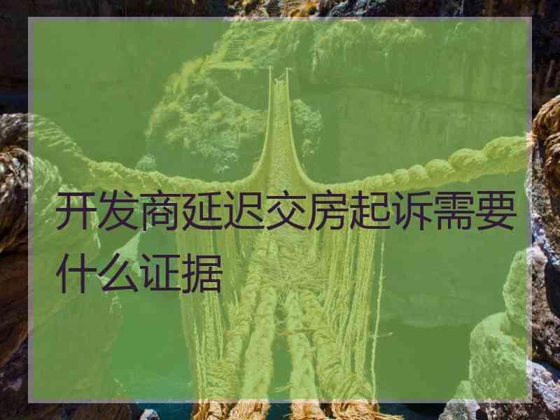 开发商延迟交房起诉需要什么证据