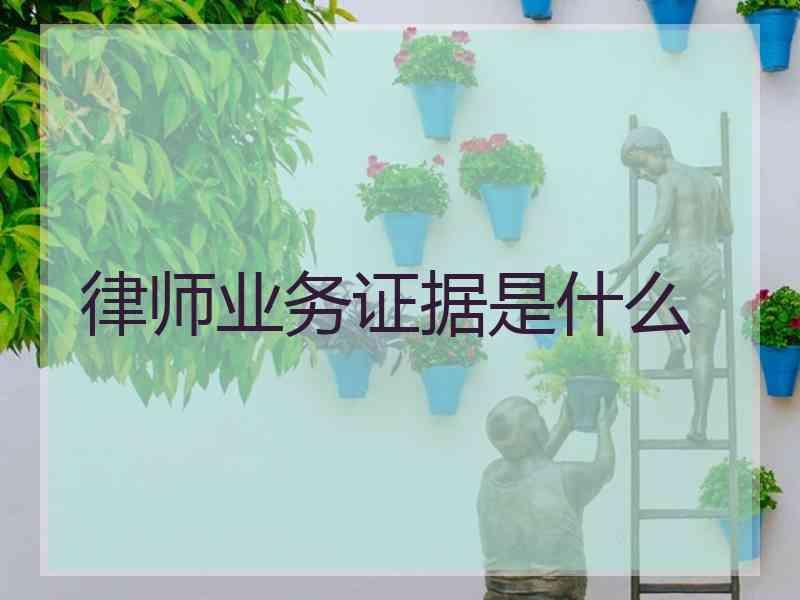 律师业务证据是什么