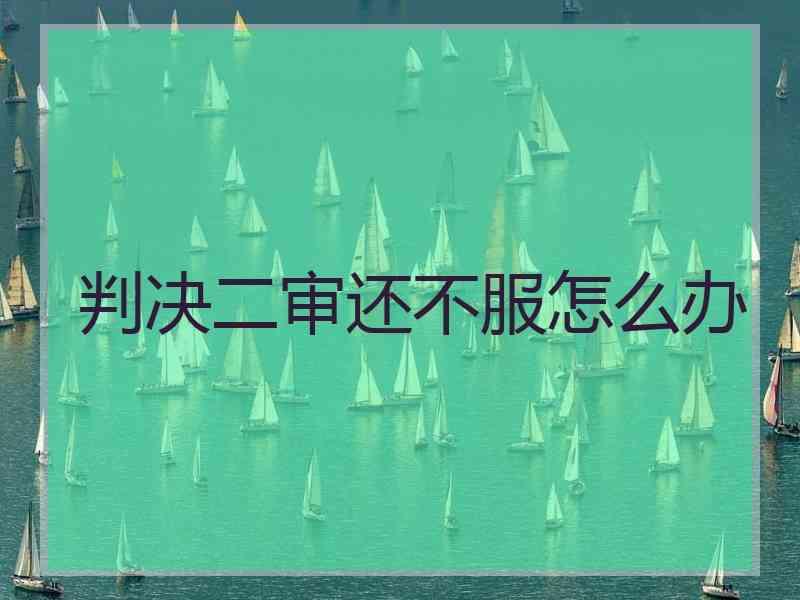 判决二审还不服怎么办