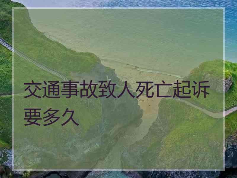 交通事故致人死亡起诉要多久