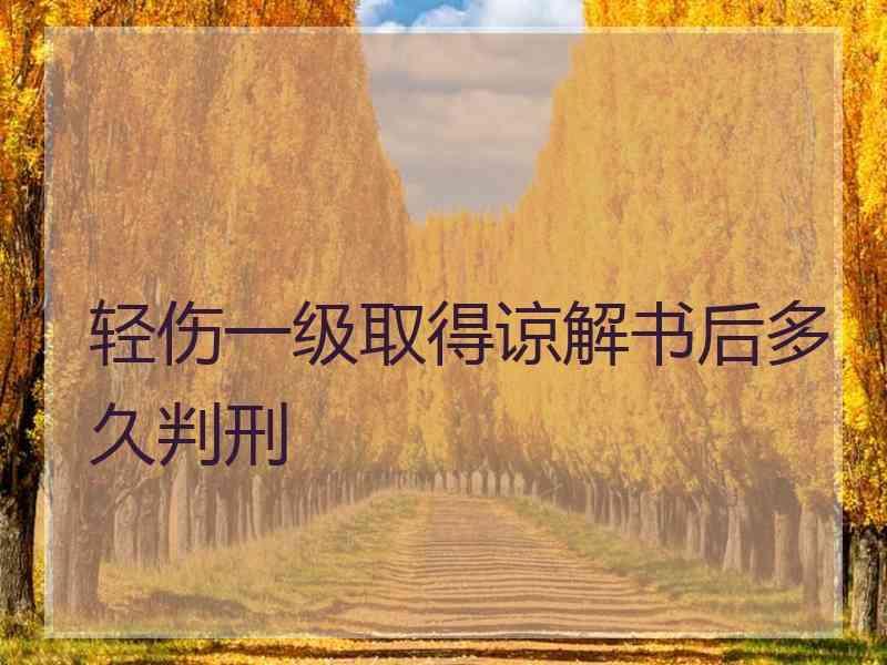 轻伤一级取得谅解书后多久判刑