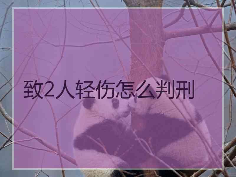 致2人轻伤怎么判刑