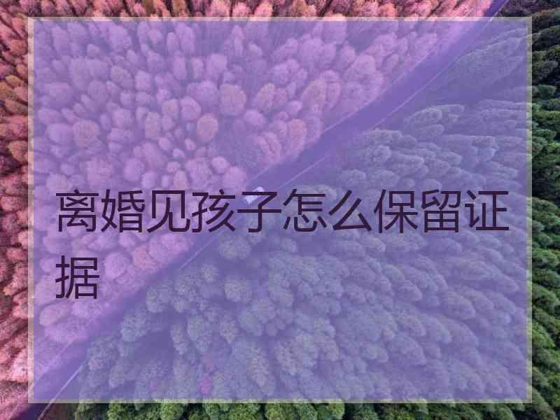 离婚见孩子怎么保留证据