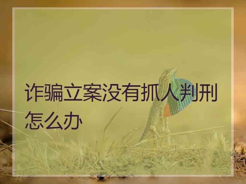 诈骗立案没有抓人判刑怎么办