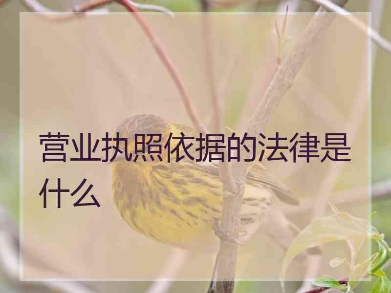 营业执照依据的法律是什么