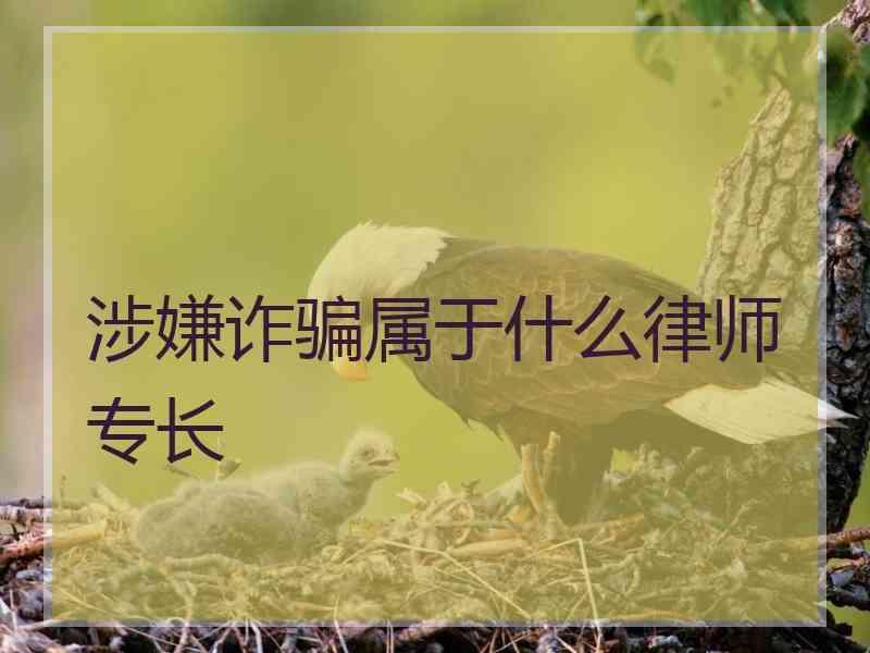 涉嫌诈骗属于什么律师专长