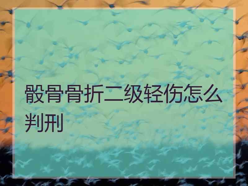 骰骨骨折二级轻伤怎么判刑