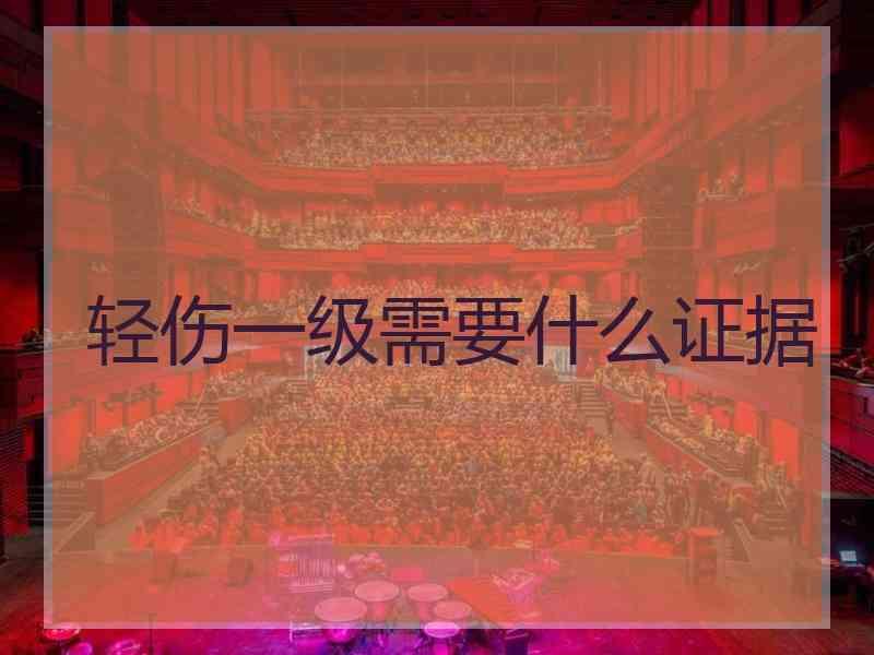 轻伤一级需要什么证据