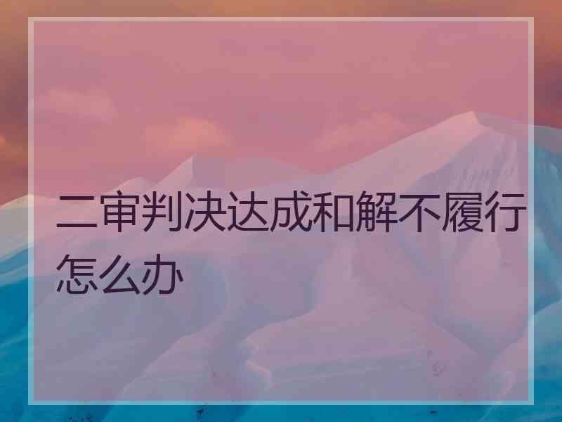 二审判决达成和解不履行怎么办