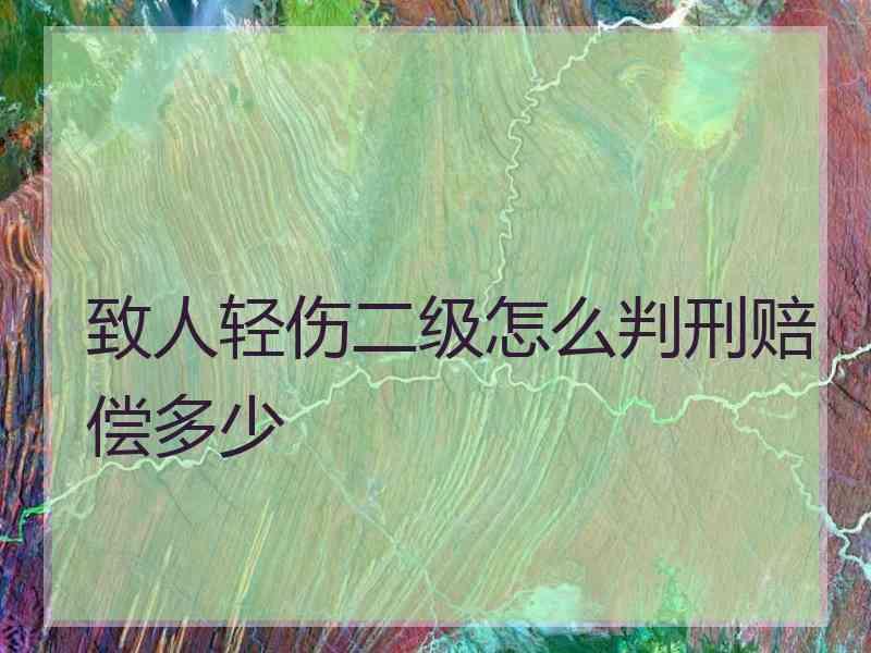 致人轻伤二级怎么判刑赔偿多少