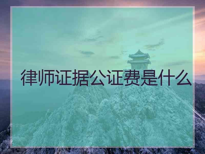 律师证据公证费是什么