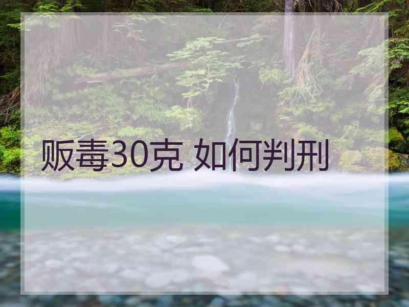 贩毒30克 如何判刑