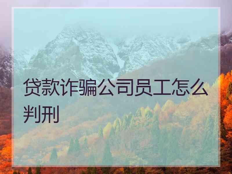 贷款诈骗公司员工怎么判刑