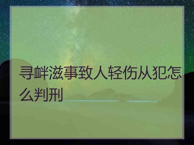 寻衅滋事致人轻伤从犯怎么判刑