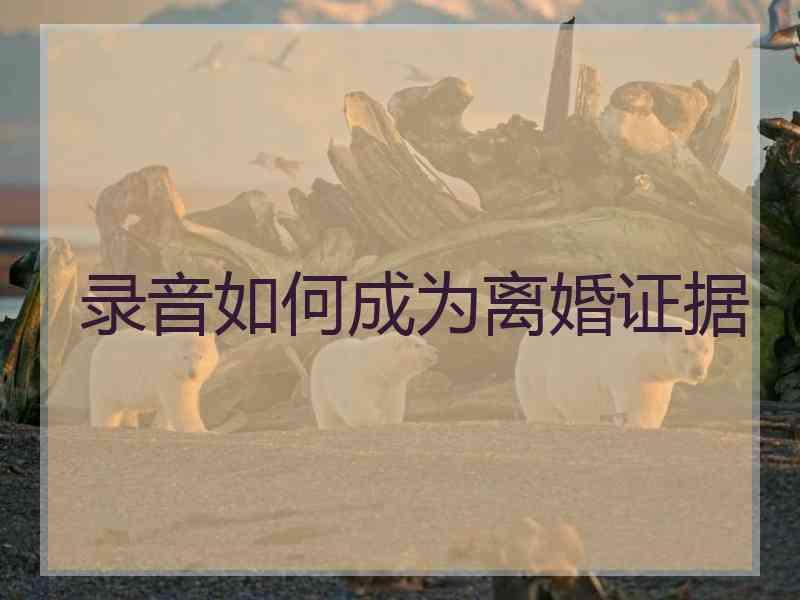 录音如何成为离婚证据