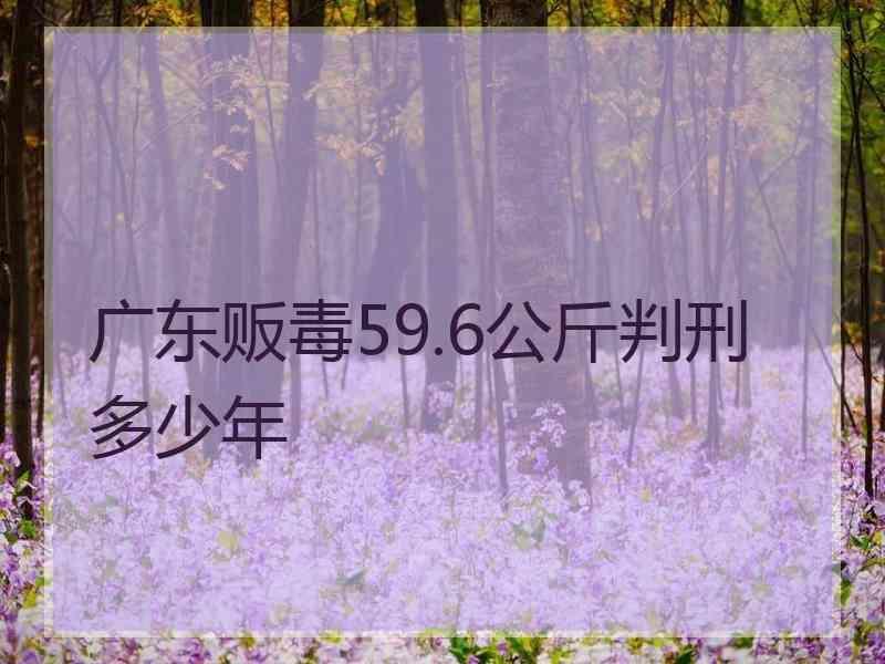 广东贩毒59.6公斤判刑多少年