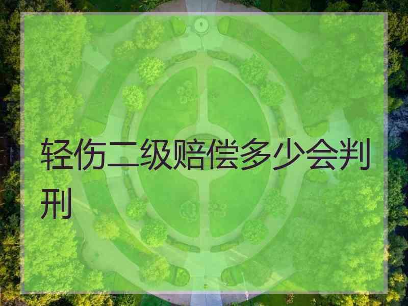 轻伤二级赔偿多少会判刑