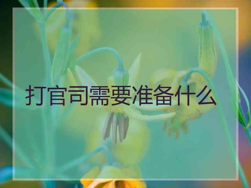 打官司需要准备什么