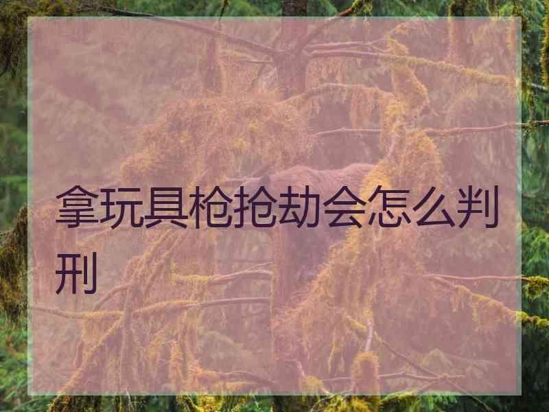 拿玩具枪抢劫会怎么判刑