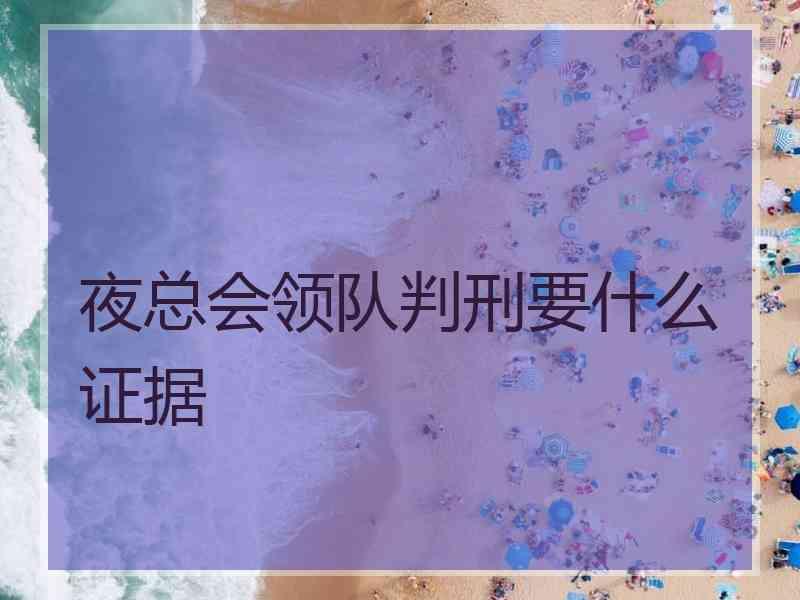 夜总会领队判刑要什么证据