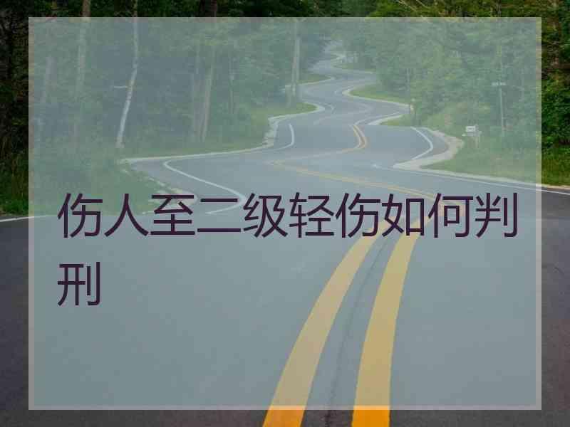 伤人至二级轻伤如何判刑
