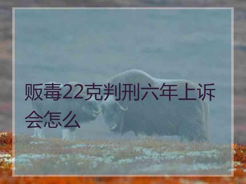 贩毒22克判刑六年上诉会怎么