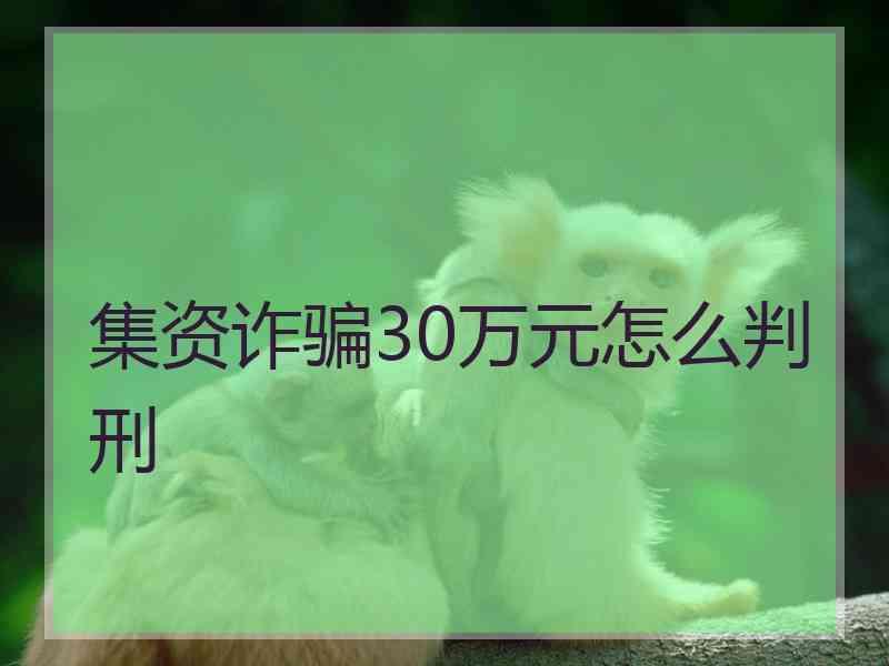 集资诈骗30万元怎么判刑