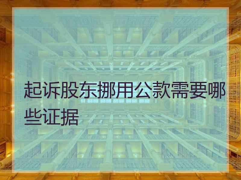 起诉股东挪用公款需要哪些证据