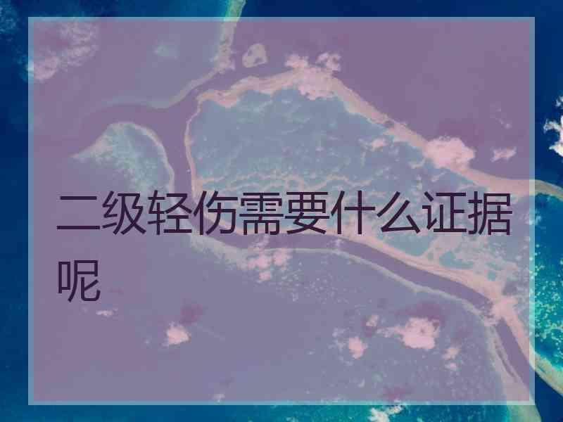 二级轻伤需要什么证据呢