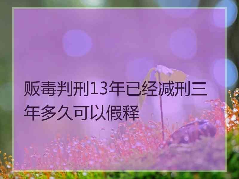 贩毒判刑13年已经减刑三年多久可以假释