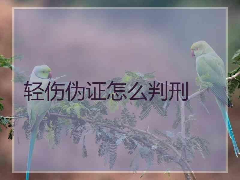 轻伤伪证怎么判刑