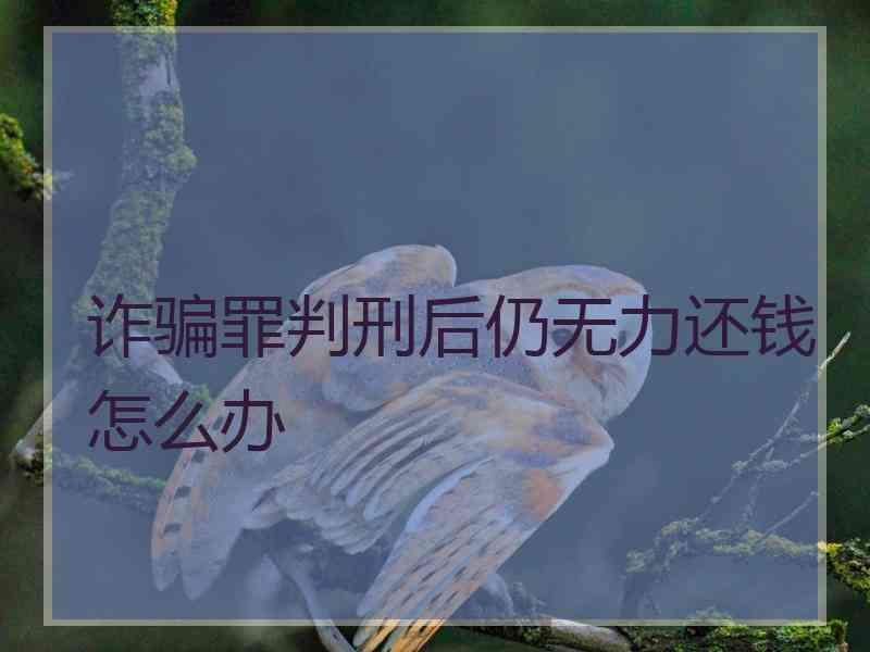 诈骗罪判刑后仍无力还钱怎么办