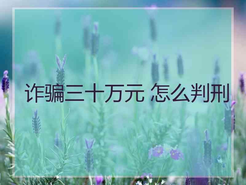 诈骗三十万元 怎么判刑
