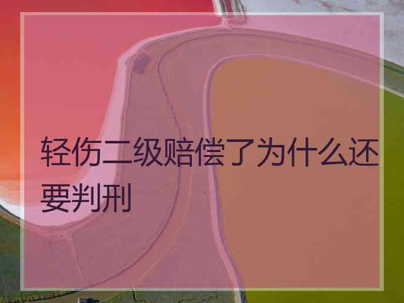 轻伤二级赔偿了为什么还要判刑